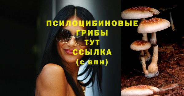 PSILOCYBIN Богородицк
