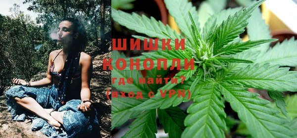 PSILOCYBIN Богородицк