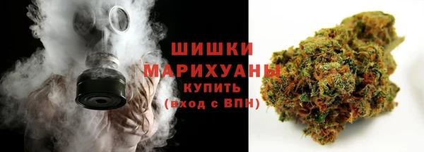 PSILOCYBIN Богородицк