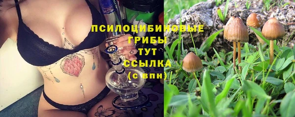 герыч Богданович