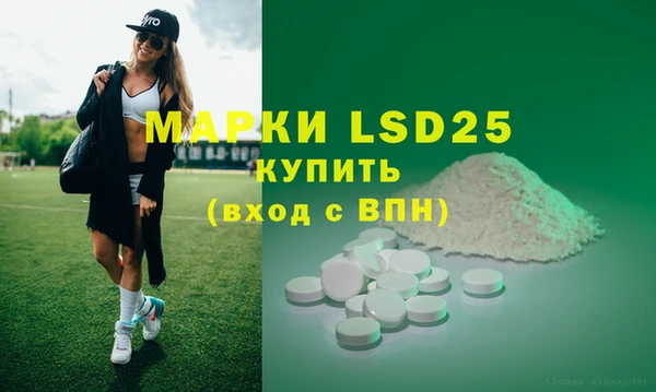 PSILOCYBIN Богородицк