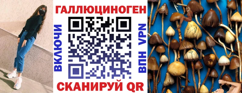 купить наркотик  Игра  мега вход  Псилоцибиновые грибы Psilocybine cubensis 
